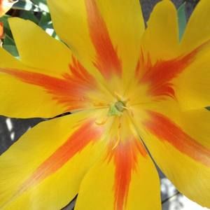 Meet your Posher, Jill